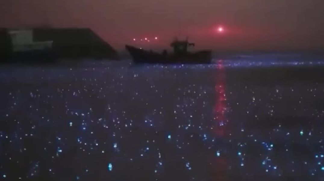 ⁣Биолюминесценция в море во время дождя