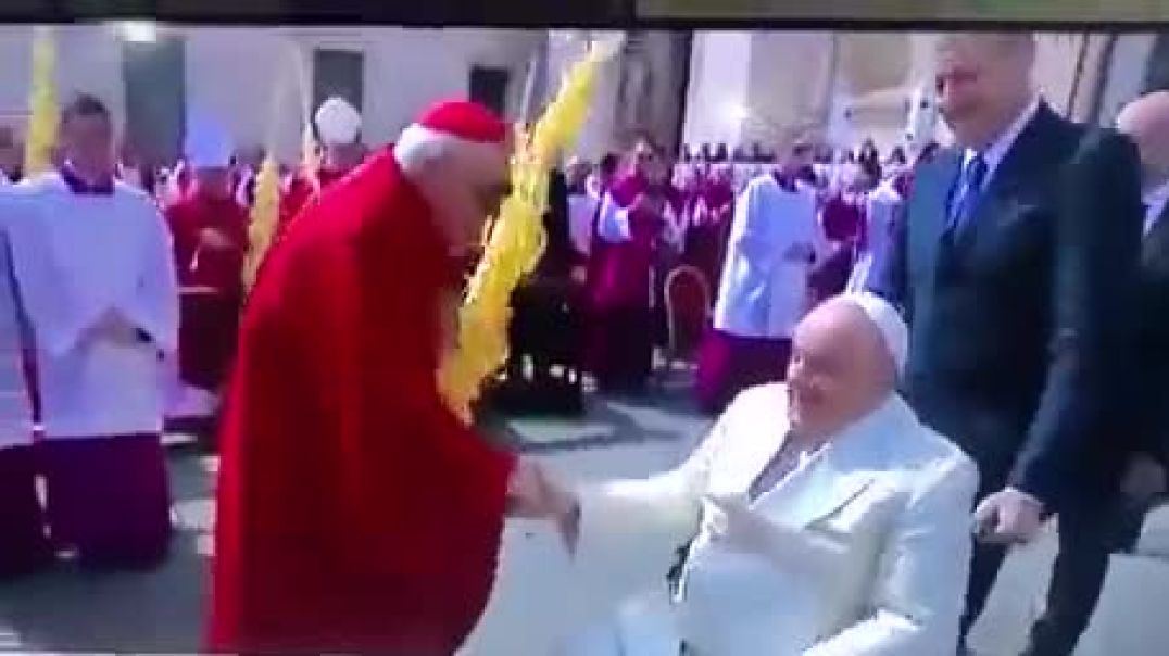 ⁣Папа и черный кардинал
