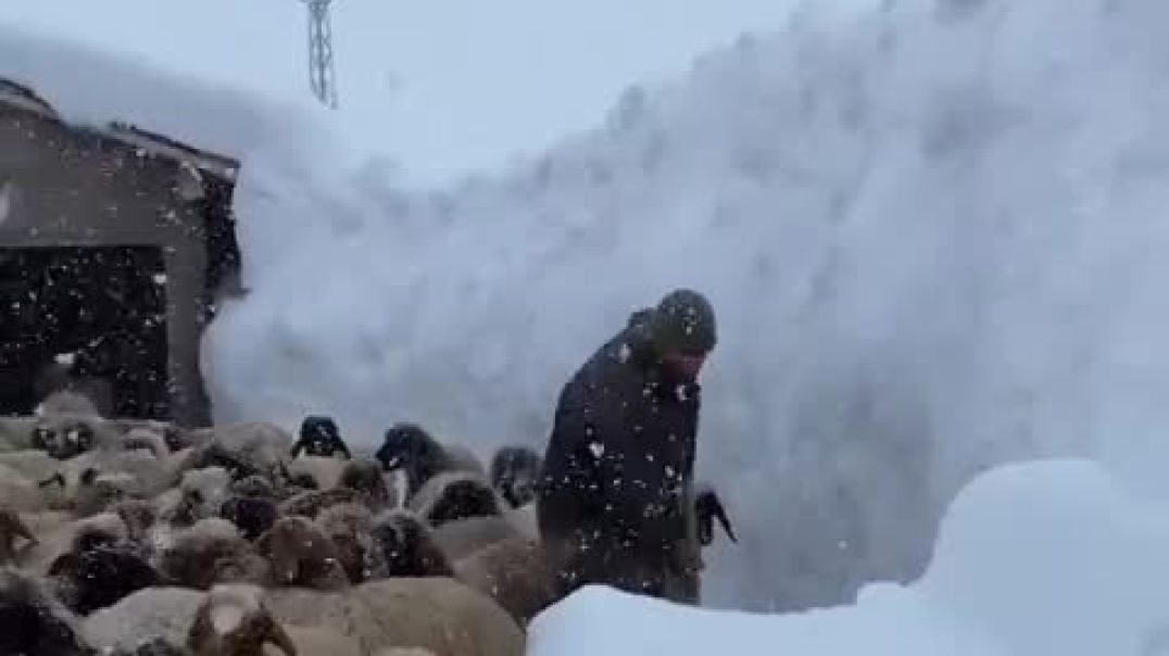 ⁣Аномальные снегопады в Турции