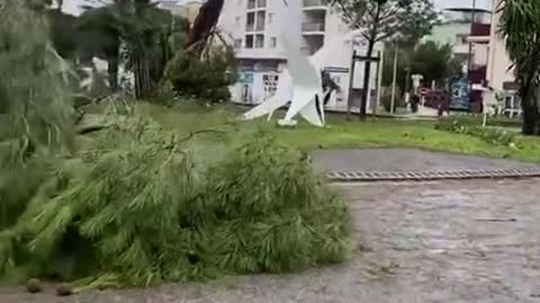 ⁣Последствия сильного ветра в коммуне Антиб (Франция, Лазурный берег, 3 марта 2024).