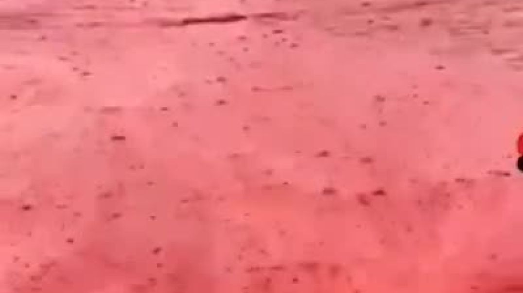 ⁣Знаковое знамение случилось в Иране , после дождя почва стала ярко красной . Отсылка но предстоящую 