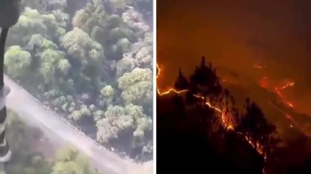 ⁣В Индии растёт недовольство тем, что сильнейший лесной пожар начали тушить лишь после того, как он н
