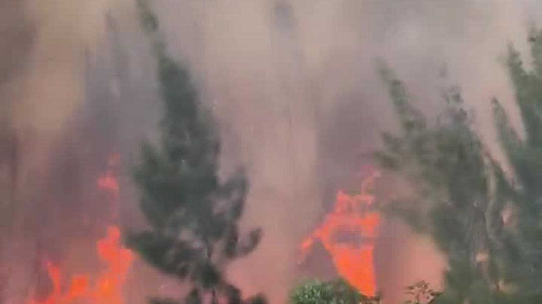 ⁣Крупный лесной пожар в Майами-Дейд, штат Флорида.