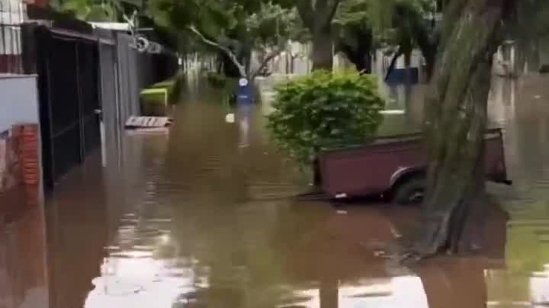 ⁣На улицах пока ещё частично затопленного Порту-Алегри в Бразилии заметили пираний👀