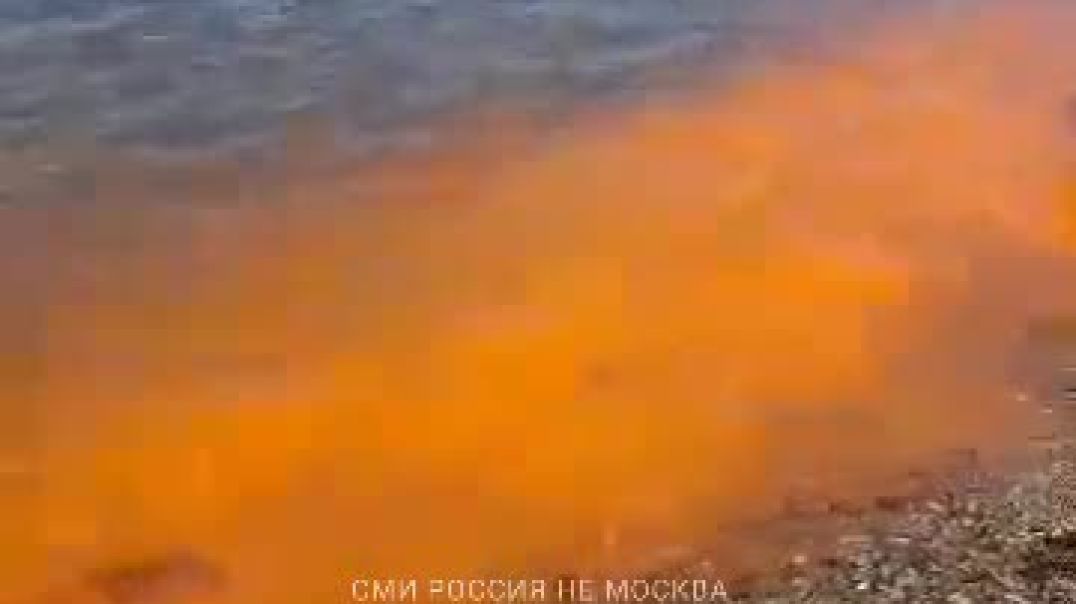 ⁣Оранжевое море: во Владивостоке в бухте Фëдорова вода окрасилась в неественный яркий цвет. Всему вин
