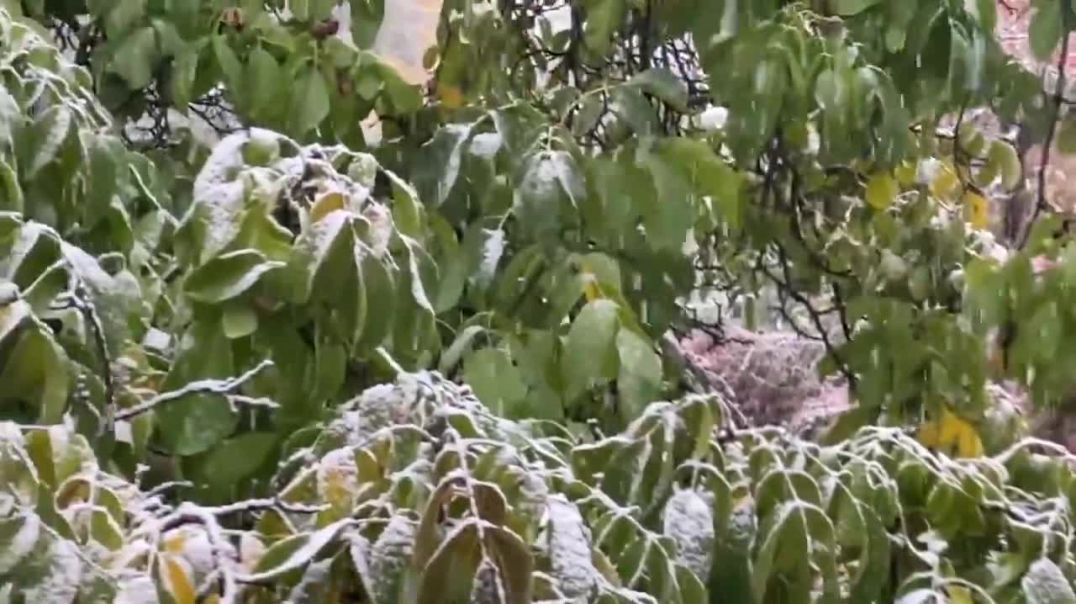 Неожиданный снегопад в центре Чили и столице страны Сантьяго, привёл к подтоплениям