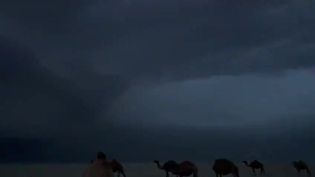 ⁣Небо на фоне верблюдов этой ночью над Кувейтом, недалеко от границы с Саудовской Аравией